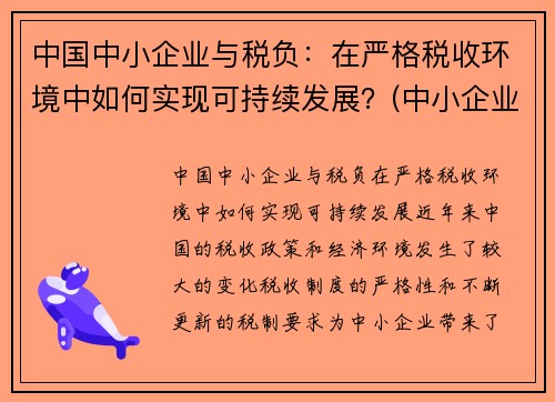 中国中小企业与税负：在严格税收环境中如何实现可持续发展？(中小企业税负情况分析)