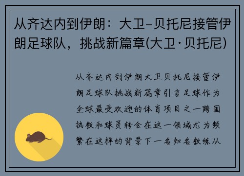 从齐达内到伊朗：大卫-贝托尼接管伊朗足球队，挑战新篇章(大卫·贝托尼)