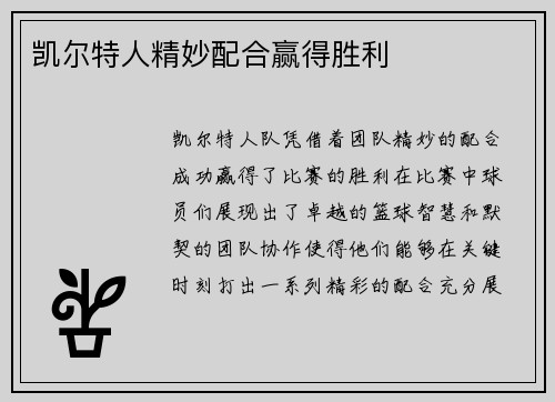 凯尔特人精妙配合赢得胜利