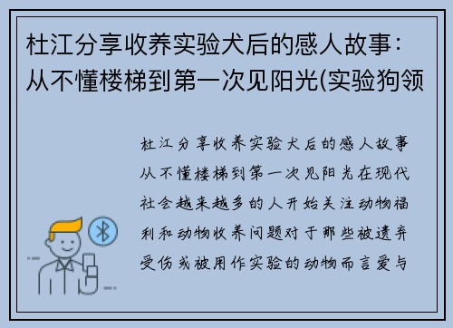杜江分享收养实验犬后的感人故事：从不懂楼梯到第一次见阳光(实验狗领养)